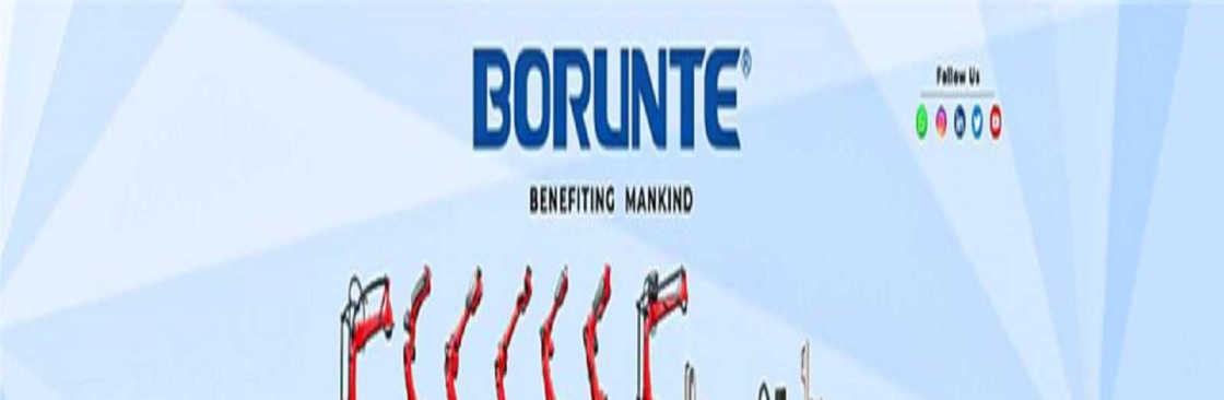 Borunte Robots Cover Image