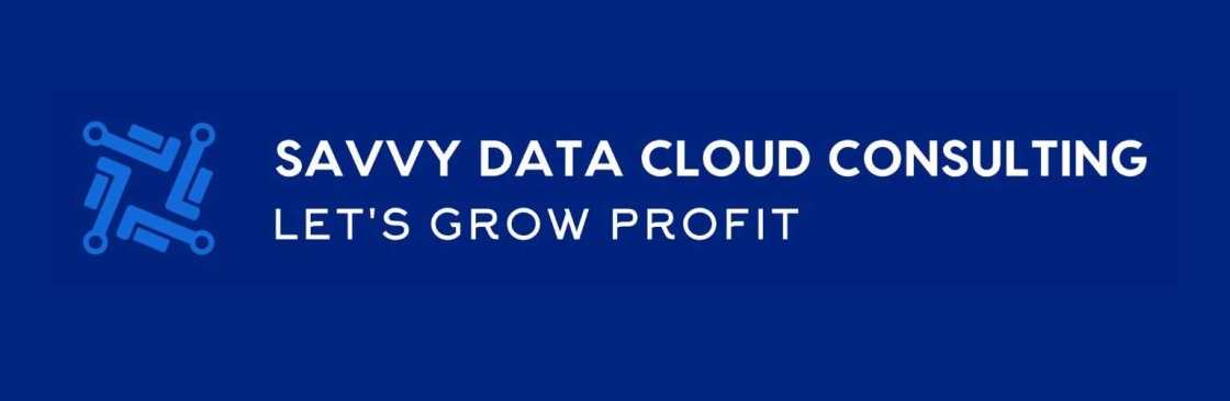 Savvy Data Cloud Consulting Cover Image