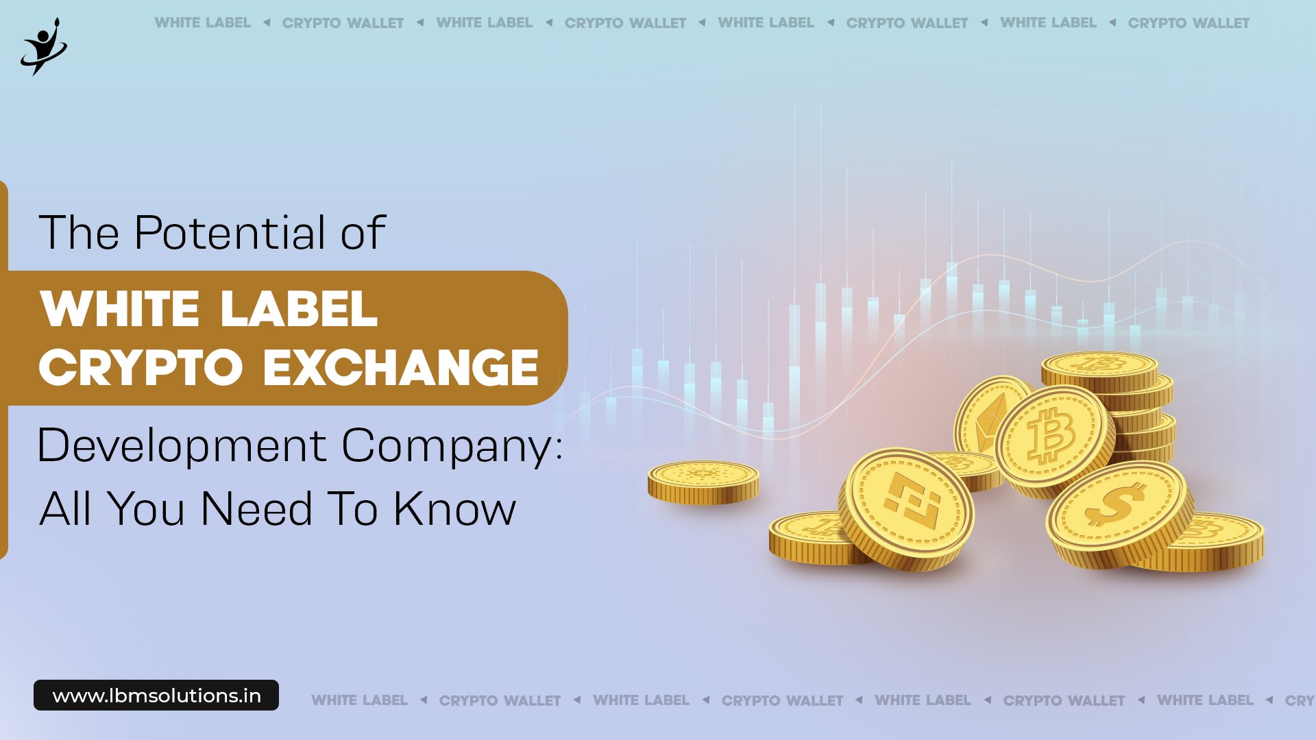 The Potential of White Label Crypto Exchange Development Company: All You Need To Know - Blockchain Development Company | Software Development | LBM Solutions