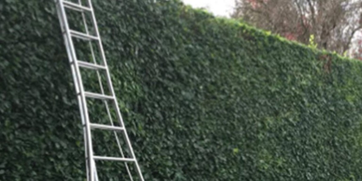 Hedge Trimming and Cutting in Chatswood