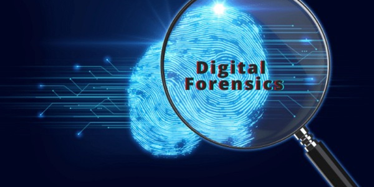 South Africa Digital Forensics Market Share, Growth Insights & Competitive Overview [2032]