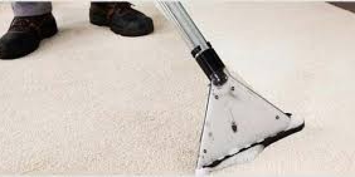 Maximize Your Home’s Cleanliness with Professional Carpet Cleaning