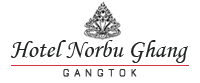 Discover The Best Hotels in Gangtok : Hotel Norbu Ghang