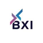 bxi world profile picture