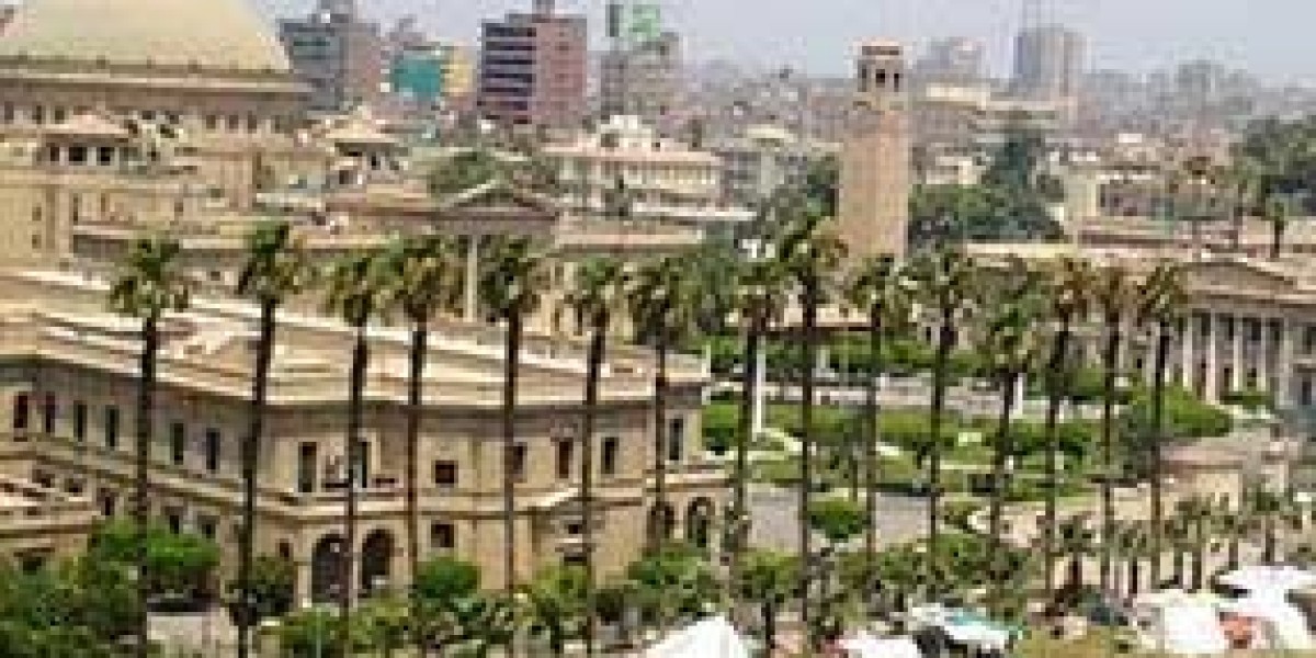 Why Study MBBS in Egypt is a Smart Choice for Indian Students
