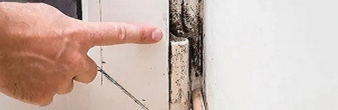 Mould Doctors Cover Image